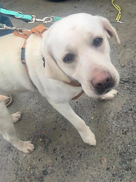 Klicke auf die Grafik für eine vergrößerte Ansicht

Name: image.png
Ansichten: 10
Größe: 413,6 KB
ID: 1205923