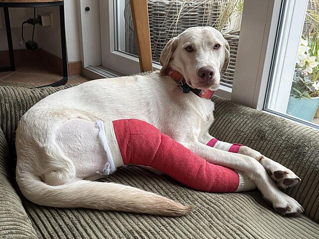 Klicke auf die Grafik für eine vergrößerte Ansicht  Name: IMG_1932.jpg Ansichten: 20 Größe: 164,5 KB ID: 1205978