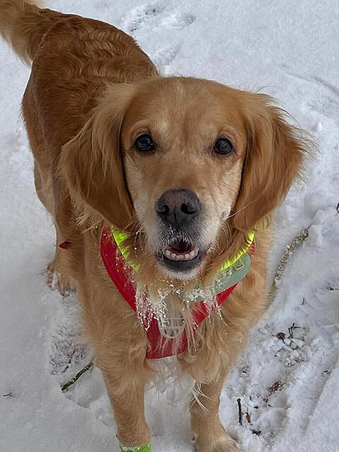 Klicke auf die Grafik für eine vergrößerte Ansicht  Name: Joanna19 #1750.jpg Ansichten: 0 Größe: 105,5 KB ID: 1205989