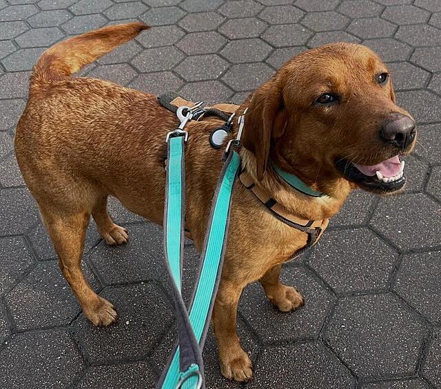 Klicke auf die Grafik für eine vergrößerte Ansicht  Name: IMG-20260226-WA0004.jpg Ansichten: 0 Größe: 209,5 KB ID: 1206125