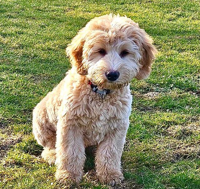 Klicke auf die Grafik für eine vergrößerte Ansicht  Name: 73abb149-36bc-478e-a3c8-5a7440be9c22.jpg Ansichten: 0 Größe: 206,4 KB ID: 1206158