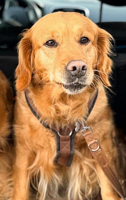 Klicke auf die Grafik für eine vergrößerte Ansicht

Name: 6e449034-389f-462d-a0c8-c6c9b5fb5208.jpg
Ansichten: 20
Größe: 79,3 KB
ID: 1206230