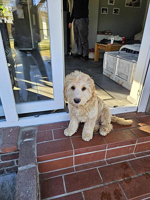 Klicke auf die Grafik für eine vergrößerte Ansicht

Name: 20260225_154156.jpg
Ansichten: 34
Größe: 124,0 KB
ID: 1206245