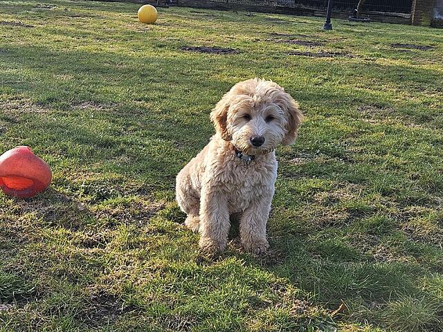 Klicke auf die Grafik für eine vergrößerte Ansicht

Name: 20260225_092912.jpg
Ansichten: 34
Größe: 339,4 KB
ID: 1206246