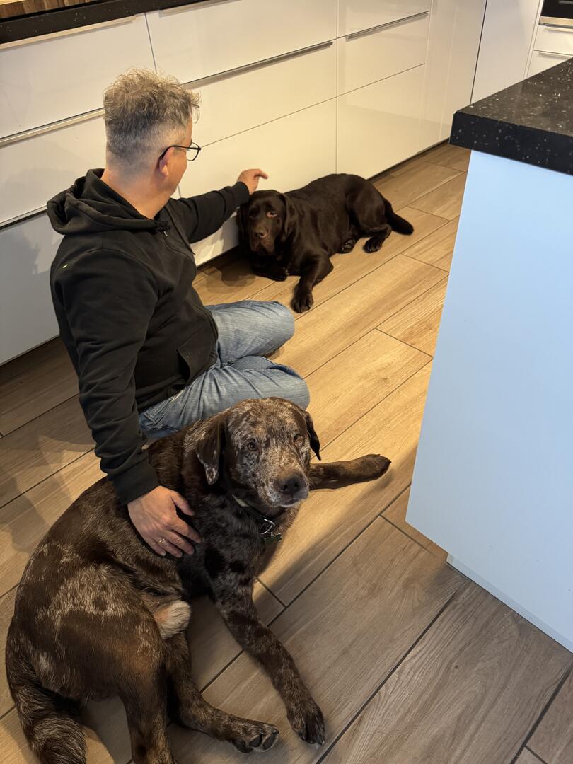 Klicke auf die Grafik für eine vergrößerte Ansicht

Name: IMG_4094.jpg
Ansichten: 38
Größe: 107,0 KB
ID: 1206251