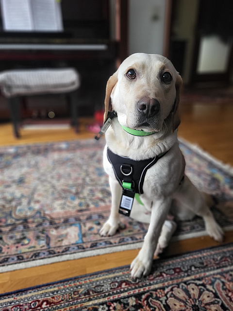 Klicke auf die Grafik für eine vergrößerte Ansicht  Name: 20260224_171226.png Ansichten: 37 Größe: 1,12 MB ID: 1206313