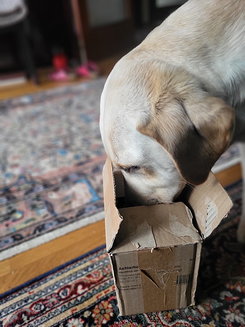 Klicke auf die Grafik für eine vergrößerte Ansicht  Name: 20260224_170833.png Ansichten: 37 Größe: 1,22 MB ID: 1206315