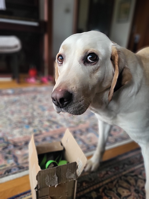 Klicke auf die Grafik für eine vergrößerte Ansicht  Name: 20260224_170853.png Ansichten: 37 Größe: 1.016,8 KB ID: 1206316