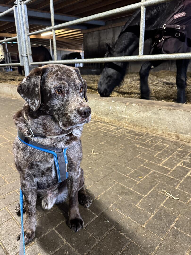 Klicke auf die Grafik für eine vergrößerte Ansicht  Name: IMG_4110.jpg Ansichten: 20 Größe: 164,3 KB ID: 1206456