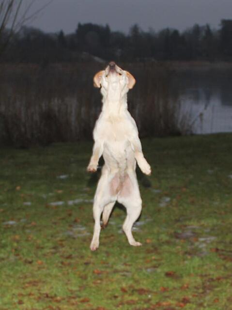 Klicke auf die Grafik für eine vergrößerte Ansicht

Name: WhatsApp Image 2026-02-27 at 10.50.46 (3).jpg
Ansichten: 2
Größe: 46,1 KB
ID: 1206501