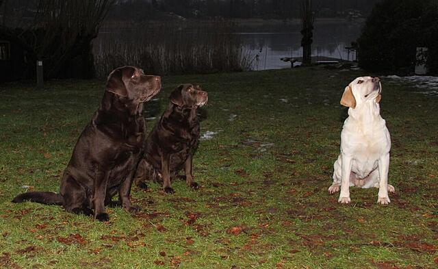 Klicke auf die Grafik für eine vergrößerte Ansicht

Name: WhatsApp Image 2026-02-27 at 10.50.46 (5).jpg
Ansichten: 2
Größe: 100,1 KB
ID: 1206503