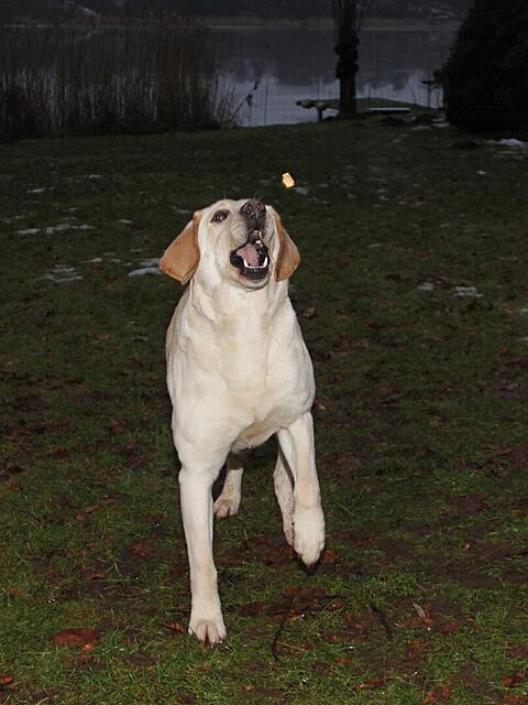 Klicke auf die Grafik für eine vergrößerte Ansicht

Name: WhatsApp Image 2026-03-01 at 09.06.57.jpg
Ansichten: 2
Größe: 90,6 KB
ID: 1206505