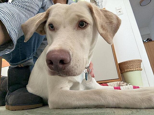 Klicke auf die Grafik für eine vergrößerte Ansicht  Name: IMG_2010.jpg Ansichten: 0 Größe: 128,3 KB ID: 1206609