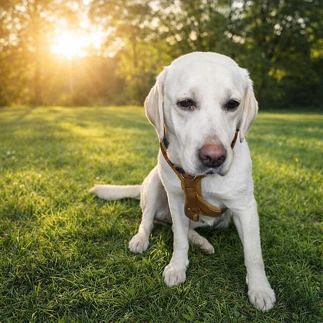 Klicke auf die Grafik für eine vergrößerte Ansicht  Name: IMG-20260302-WA0002[1].jpg Ansichten: 26 Größe: 99,0 KB ID: 1206629