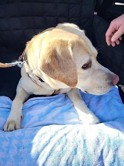 Klicke auf die Grafik für eine vergrößerte Ansicht  Name: 20260301_131756.jpg Ansichten: 146 Größe: 119,7 KB ID: 1207335