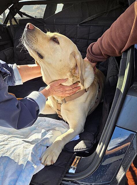 Klicke auf die Grafik für eine vergrößerte Ansicht  Name: 20260301_131829.jpg Ansichten: 140 Größe: 144,8 KB ID: 1207336