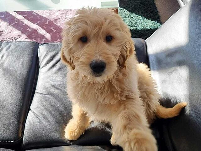 Klicke auf die Grafik für eine vergrößerte Ansicht

Name: image.png
Ansichten: 0
Größe: 487,3 KB
ID: 1207151