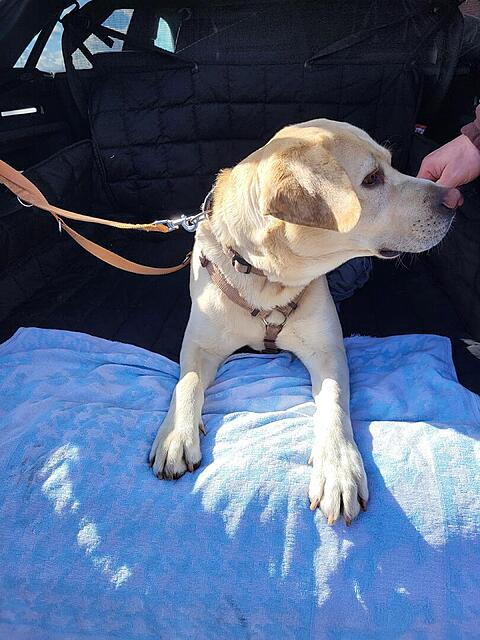 Klicke auf die Grafik für eine vergrößerte Ansicht

Name: image.png
Ansichten: 21
Größe: 506,5 KB
ID: 1207155