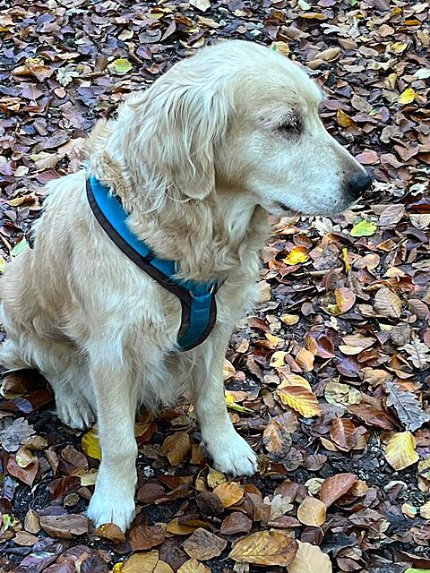 Klicke auf die Grafik für eine vergrößerte Ansicht

Name: Lilia4 #1748.jpg
Ansichten: 42
Größe: 215,5 KB
ID: 1207210