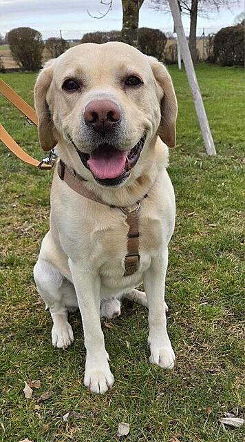 Klicke auf die Grafik für eine vergrößerte Ansicht  Name: PHOTO-2026-03-01-15-09-23.jpg Ansichten: 1 Größe: 137,9 KB ID: 1207213