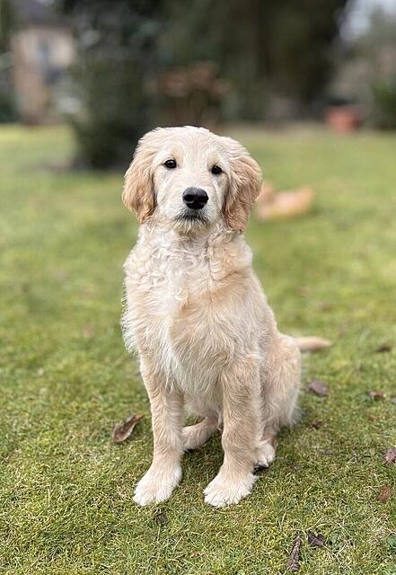 Klicke auf die Grafik für eine vergrößerte Ansicht  Name: f2bc4079-6460-4c64-abce-bb2a5f49328d.jpg Ansichten: 0 Größe: 117,2 KB ID: 1207270