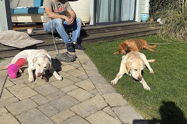 Klicke auf die Grafik für eine vergrößerte Ansicht  Name: IMG_2033.jpg Ansichten: 10 Größe: 194,7 KB ID: 1207341