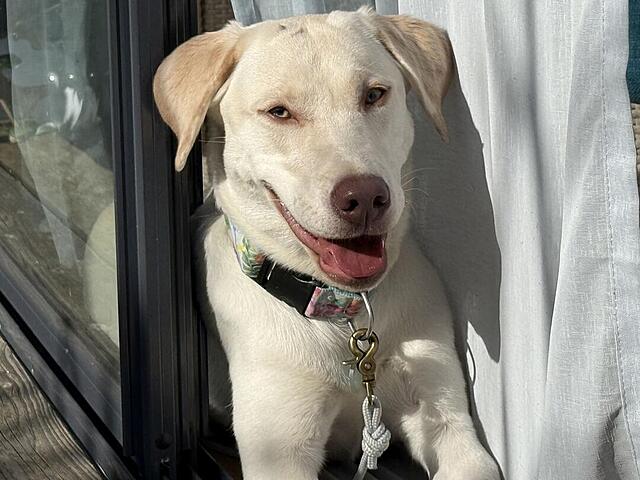 Klicke auf die Grafik für eine vergrößerte Ansicht  Name: IMG_2045.jpg Ansichten: 10 Größe: 103,1 KB ID: 1207339