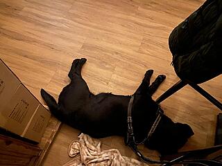 Klicke auf die Grafik für eine vergrößerte Ansicht  Name: IMG_3320.jpg Ansichten: 43 Größe: 100,1 KB ID: 1207363