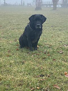 Klicke auf die Grafik für eine vergrößerte Ansicht  Name: IMG_3324.jpg Ansichten: 42 Größe: 234,9 KB ID: 1207366