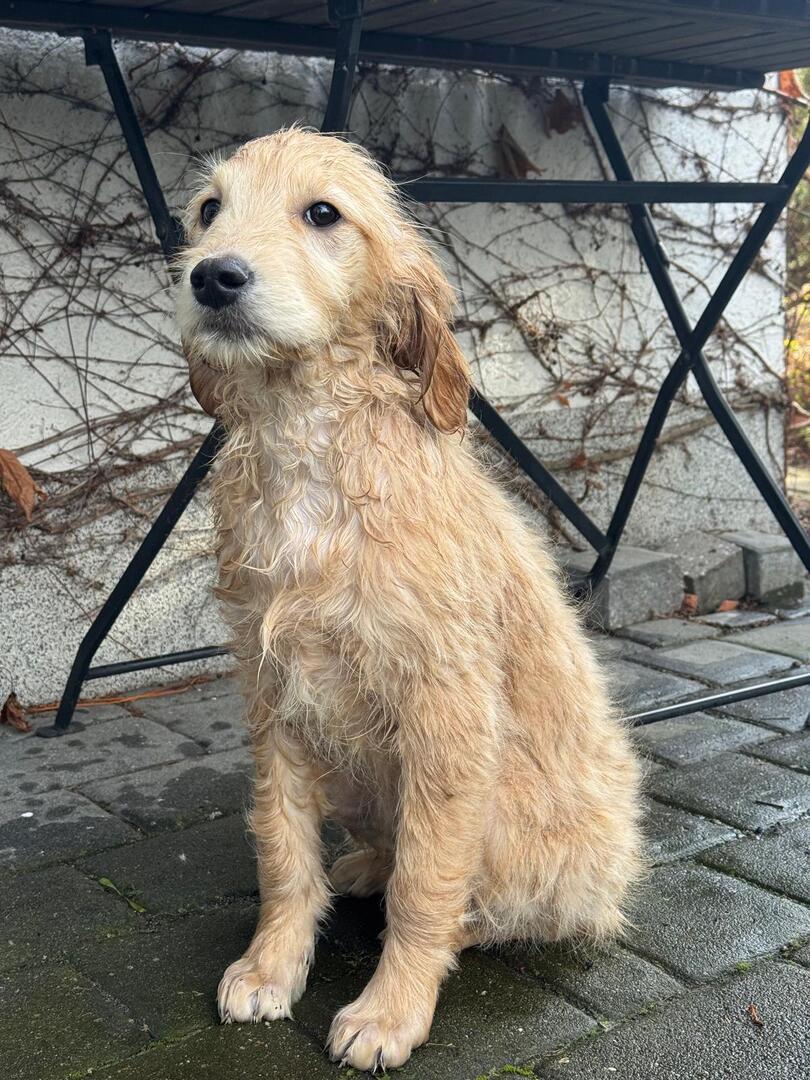 Klicke auf die Grafik für eine vergrößerte Ansicht  Name: 45b4bf81-73c9-49b9-9cfa-c5faa01ca5f2.jpg Ansichten: 0 Größe: 193,6 KB ID: 1207556