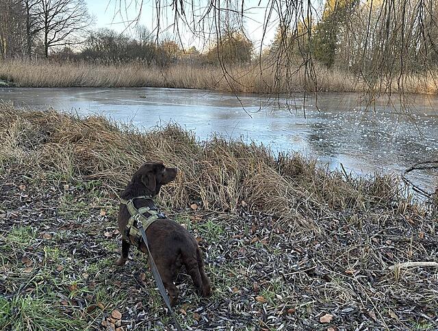 Klicke auf die Grafik für eine vergrößerte Ansicht  Name: IMG_1716.jpg Ansichten: 48 Größe: 316,0 KB ID: 1207469