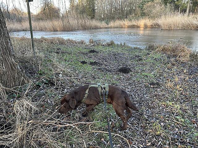 Klicke auf die Grafik für eine vergrößerte Ansicht  Name: IMG_1715.jpg Ansichten: 48 Größe: 323,8 KB ID: 1207471