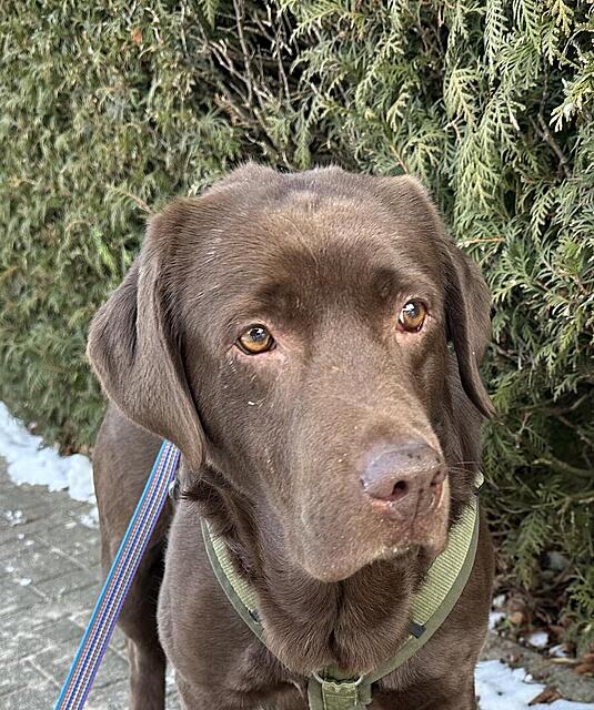 Klicke auf die Grafik für eine vergrößerte Ansicht  Name: IMG_2328.jpg Ansichten: 50 Größe: 195,1 KB ID: 1207474