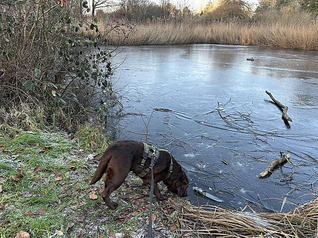 Klicke auf die Grafik für eine vergrößerte Ansicht  Name: IMG_1720.jpg Ansichten: 49 Größe: 266,6 KB ID: 1207475