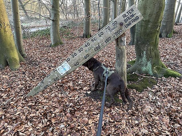 Klicke auf die Grafik für eine vergrößerte Ansicht  Name: IMG_1722.jpg Ansichten: 49 Größe: 323,4 KB ID: 1207476