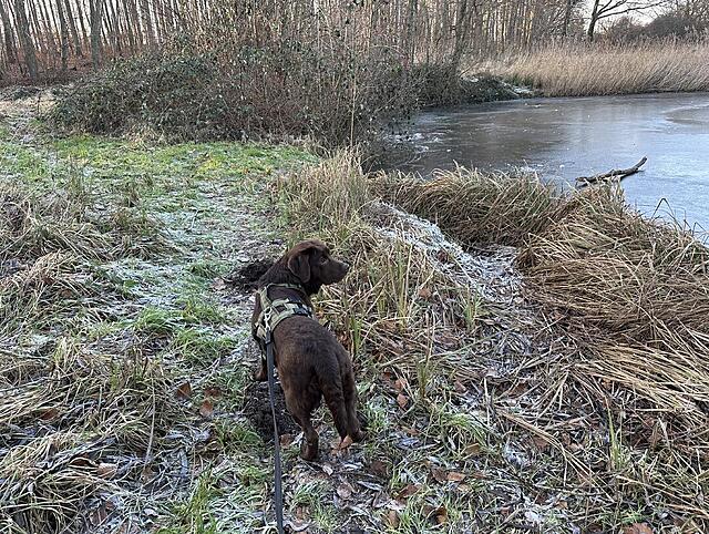 Klicke auf die Grafik für eine vergrößerte Ansicht  Name: IMG_1719.jpg Ansichten: 49 Größe: 330,9 KB ID: 1207477