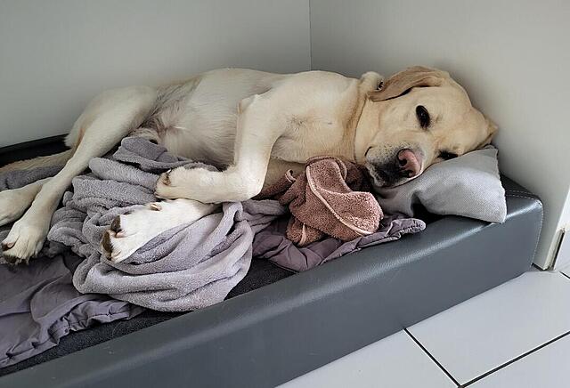 Klicke auf die Grafik für eine vergrößerte Ansicht

Name: 20260302_163842.jpg
Ansichten: 81
Größe: 82,3 KB
ID: 1207560