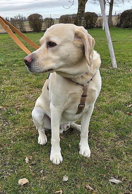 Klicke auf die Grafik für eine vergrößerte Ansicht

Name: 20260301_143015.jpg
Ansichten: 64
Größe: 201,7 KB
ID: 1207563