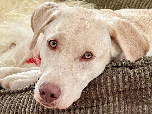 Klicke auf die Grafik für eine vergrößerte Ansicht

Name: 6.3.jpg
Ansichten: 31
Größe: 144,0 KB
ID: 1207602