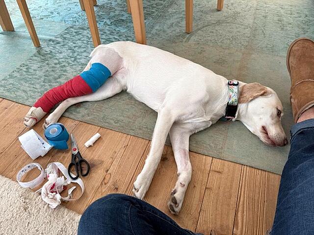 Klicke auf die Grafik für eine vergrößerte Ansicht

Name: 6.4.jpg
Ansichten: 31
Größe: 125,1 KB
ID: 1207603