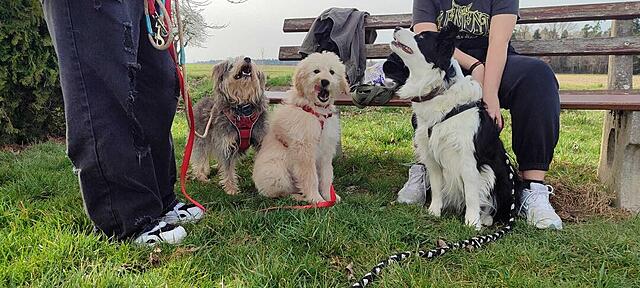 Klicke auf die Grafik für eine vergrößerte Ansicht

Name: WhatsApp Image 2026-03-06 at 2.54.23 PM.jpg
Ansichten: 48
Größe: 126,9 KB
ID: 1207672