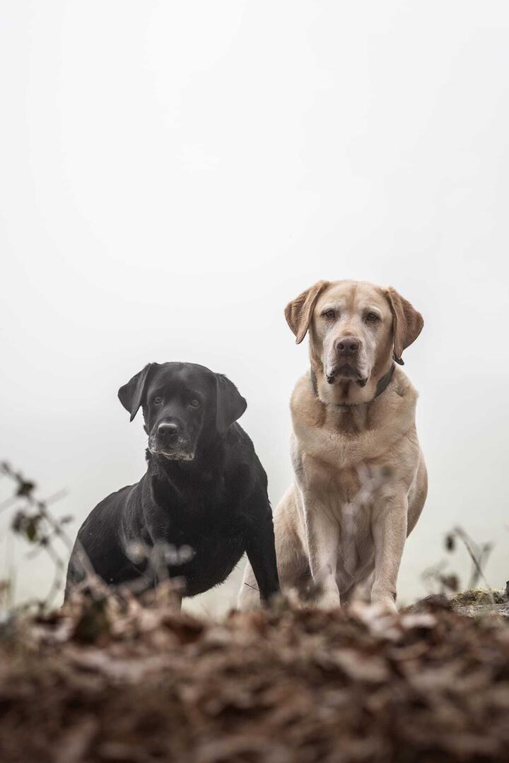 Klicke auf die Grafik für eine vergrößerte Ansicht  Name: IMG-20260307-WA0051.jpg Ansichten: 44 Größe: 46,9 KB ID: 1207631