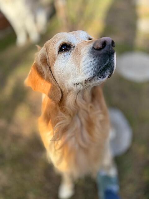 Klicke auf die Grafik für eine vergrößerte Ansicht

Name: 7587b68f-92f1-47b4-9f6c-011bf0f04488.jpg
Ansichten: 90
Größe: 52,3 KB
ID: 1207636