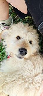 Klicke auf die Grafik für eine vergrößerte Ansicht

Name: 1772898054346.jpg
Ansichten: 57
Größe: 59,3 KB
ID: 1207670