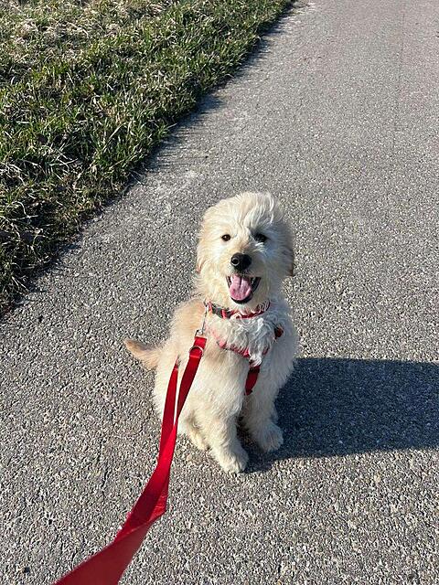 Klicke auf die Grafik für eine vergrößerte Ansicht

Name: 1772898054380.jpg
Ansichten: 52
Größe: 298,5 KB
ID: 1207671