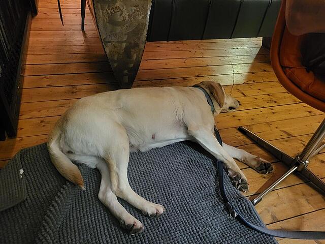 Klicke auf die Grafik für eine vergrößerte Ansicht  Name: WhatsApp Image 2026-03-09 at 12.18.42 (7).jpg Ansichten: 21 Größe: 117,6 KB ID: 1207803