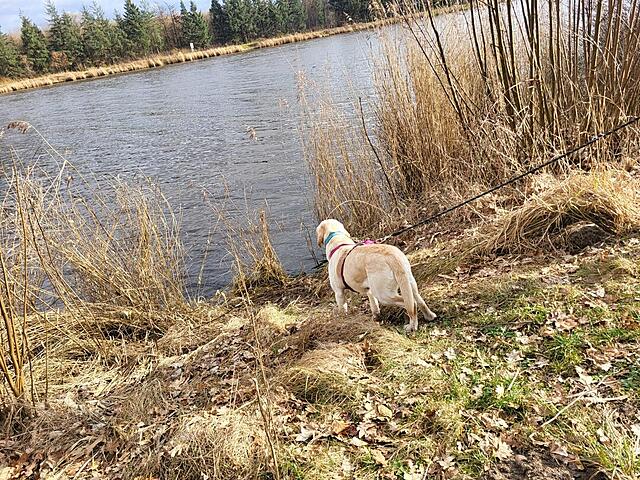 Klicke auf die Grafik für eine vergrößerte Ansicht  Name: WhatsApp Image 2026-03-09 at 12.18.42 (1).jpg Ansichten: 21 Größe: 296,2 KB ID: 1207807