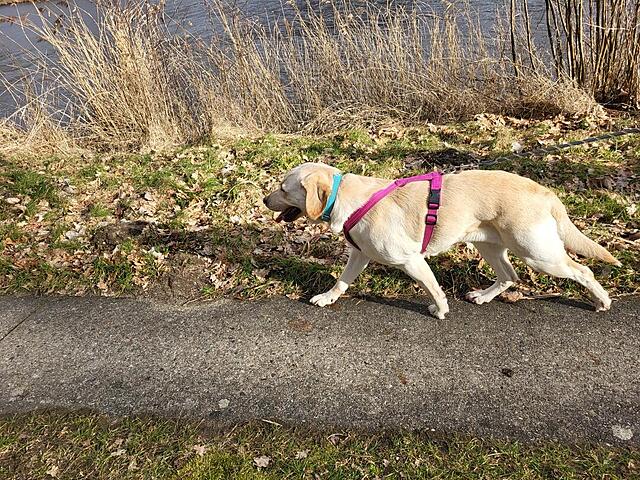 Klicke auf die Grafik für eine vergrößerte Ansicht  Name: WhatsApp Image 2026-03-09 at 12.18.42 (3).jpg Ansichten: 21 Größe: 296,1 KB ID: 1207809