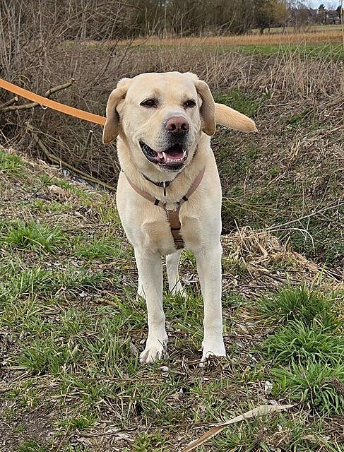 Klicke auf die Grafik für eine vergrößerte Ansicht  Name: 20260301_154654.jpg Ansichten: 85 Größe: 260,9 KB ID: 1207828