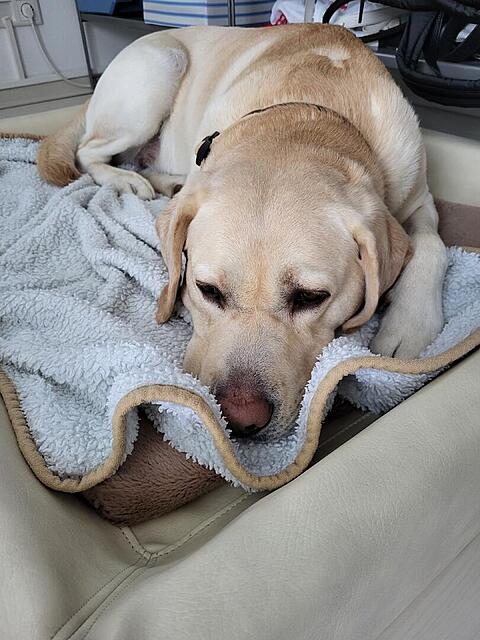 Klicke auf die Grafik für eine vergrößerte Ansicht  Name: 20260305_090918.jpg Ansichten: 85 Größe: 115,6 KB ID: 1207829